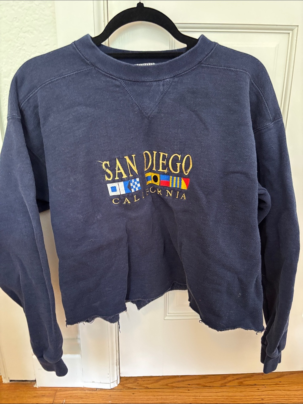 Vintage cropped heavy weight San Diego sweatshirt